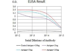 anti-CD209 (CD209) (AA 270-404) antibody