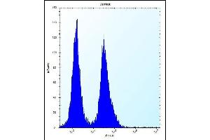 SNIP1 Antibody (N-term) (ABIN656183 and ABIN2845511) flow cytometric analysis of Jurkat cells (right histogram) compared to a negative control cell (left histogram). (SNIP1 anticorps  (N-Term))