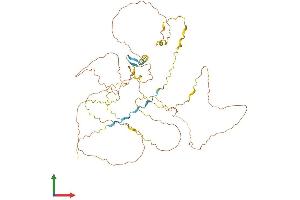 AlphaFold protein structure predicition of Human Recombinant RAI2 Protein, UniprotID Q9Y5P3