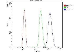 Flow Cytometry analysis of HL-60 cells using anti-GCHFR antibody (ABIN7600511).