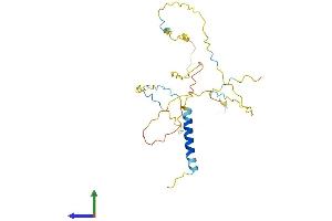 AlphaFold protein structure predicition of Mouse Recombinant Lat Protein, UniprotID O54957
