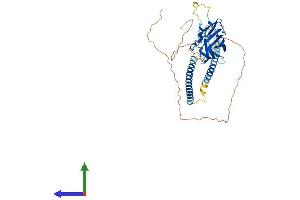 AlphaFold protein structure predicition of Human Recombinant SPAG4 Protein, UniprotID Q9NPE6