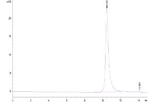The purity of Human FAM19A5 is greater than 95 % as determined by SEC-HPLC.