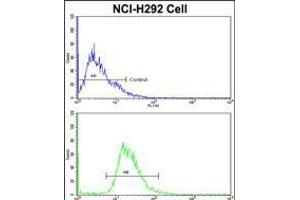 Flow cytometric analysis of NCI-H292 cells using EEF1A1 Antibody (bottom histogram) compared to a negative control cell (top histogram). (eEF1A1 anticorps  (C-Term))