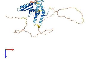 AlphaFold protein structure predicition of Mouse Recombinant Qki Protein, UniprotID Q9QYS9