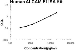 Human ALCAM Accusignal ELISA Kit Human ALCAM AccuSignal ELISA Kit standard curve. (CD166 Kit ELISA)
