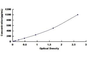 Typical standard curve