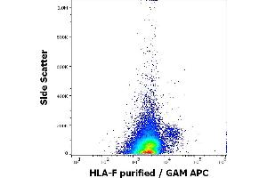 Flow cytometry surface staining pattern of human PMA + Ionomycin stimulated peripheral blood mononuclear cells stained using anti-human MICA/MICB (6D4) purified antibody (concentration in sample 5 μg/mL, GAM APC). (HLA-F anticorps)