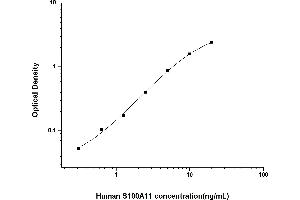 S100 Calcium Binding Protein A11 (S100A11) ELISA Kit