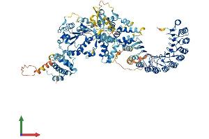 AlphaFold protein structure predicition of Human Recombinant NLRP3 Protein, UniprotID Q96P20