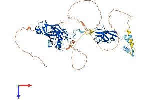 AlphaFold protein structure predicition of Human Recombinant EBF1 Protein, UniprotID Q9UH73