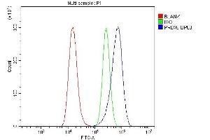 anti-Peroxiredoxin 5 (PRDX5) (AA 66-198) antibody