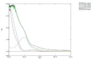 Cortisone (COR) protein (Ovalbumin)