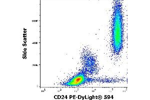Flow cytometry surface staining pattern of human peripheral whole blood stained using anti-human CD24 (SN3) PE-DyLight® 594 antibody (4 μL reagent / 100 μL of peripheral whole blood). (CD24 anticorps  (PE-DyLight 594))