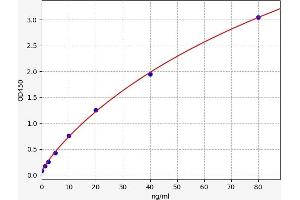 Apolipoprotein E (APOE) ELISA Kit