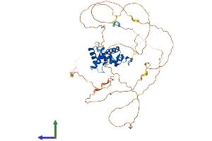 AlphaFold protein structure predicition of Mouse Recombinant Pax8 Protein, UniprotID Q00288