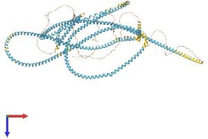 AlphaFold protein structure predicition of Mouse Recombinant Sfi1 Protein, UniprotID Q3UZY0