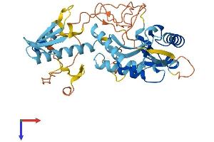 AlphaFold protein structure predicition of Human Recombinant ASCC1 Protein, UniprotID Q8N9N2