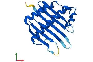 AlphaFold protein structure predicition of Mouse Recombinant Magoh Protein, UniprotID P61327