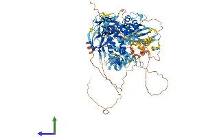 AlphaFold protein structure predicition of Human Recombinant SH3BP4 Protein, UniprotID Q9P0V3