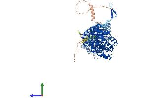 AlphaFold protein structure predicition of Human Recombinant KLB Protein, UniprotID Q86Z14