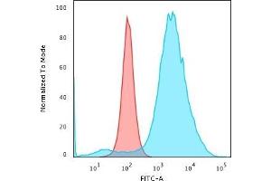 Flow Cytometric Analysis of paraformaldehyde-fixed HeLa cells with CD55 Mouse Monoclonal Antibody (F4-29D9) followed by goat anti-Mouse IgG-CF488 (Blue) Isotype Control (Red)