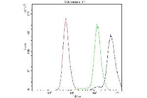 Flow Cytometry analysis of PC-3 cells using anti-Bcl-X antibody (ABIN4886480). (BCL2L1 anticorps  (Middle Region))