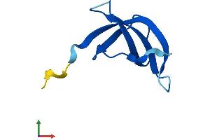 AlphaFold protein structure predicition of Human Recombinant RPS28 Protein, UniprotID P62857