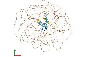 AlphaFold protein structure predicition of Human Recombinant TCOF1 Protein, UniprotID Q13428