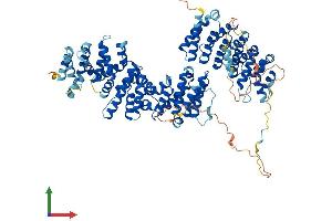 AlphaFold protein structure predicition of Human Recombinant TELO2 Protein, UniprotID Q9Y4R8