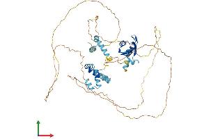 AlphaFold protein structure predicition of Human Recombinant CSTF2 Protein, UniprotID P33240