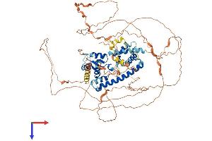 AlphaFold protein structure predicition of Human Recombinant MAGED1 Protein, UniprotID Q9Y5V3
