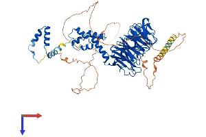 AlphaFold protein structure predicition of Human Recombinant FBXW7 Protein, UniprotID Q969H0