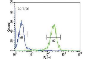 Flow Cytometry (FACS) image for anti-Folate Receptor 2 (Fetal) (FOLR2) antibody (ABIN3002210) (FOLR2 anticorps)