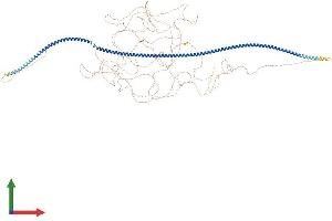 AlphaFold protein structure predicition of Mouse Recombinant Mtus2 Protein, UniprotID Q3UHD3
