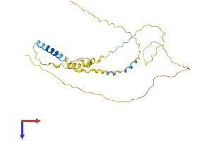 AlphaFold protein structure predicition of Human Recombinant DBNDD2 Protein, UniprotID Q9BQY9
