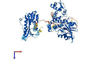 AlphaFold protein structure predicition of Human Recombinant ASMTL Protein, UniprotID O95671