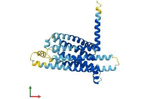 AlphaFold protein structure predicition of Human Recombinant TAS2R7 Protein, UniprotID Q9NYW3