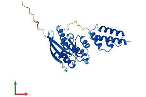 AlphaFold protein structure predicition of Human Recombinant DNAJC27 Protein, UniprotID Q9NZQ0