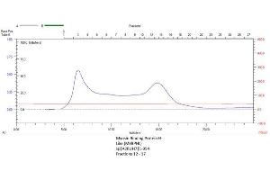 Size-exclusion chromatography-High Pressure Liquid Chromatography (SEC-HPLC) image for Myosin Binding Protein H-Like (MYBPHL) (AA 1-354) protein (Strep Tag) (ABIN3083490) (MYBPHL Protein (AA 1-354) (Strep Tag))