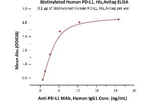 Immobilized Biotinylated Human PD-L1 (19-134), His,Avitag™ (ABIN6950994,ABIN6952283) at 1 μg/mL (100 μL/well) on Streptavidin  precoated (0.