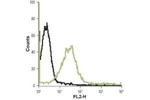 Cell surface detection of Histamine H4 receptor in live intact Jurkat (acute T-cell leukemia) cell lines: (black line) Unstained cells + goat-anti-rabbit-PE.