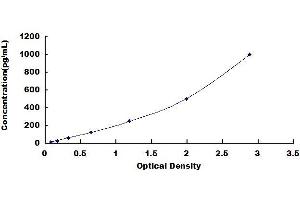 Typical standard curve (CRLF1 Kit ELISA)