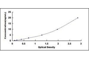 Typical standard curve (LRPPRC Kit ELISA)