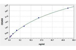 Typical standard curve (SARS-CoV-2 N-Protein IgM Antibody Kit ELISA)