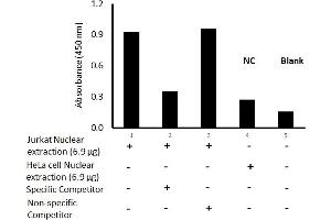Transcription factor activity assay of GATA-3 from nuclear extracts of Jurkat cells or HeLa cells with the specific competitor or non-specific competitor.