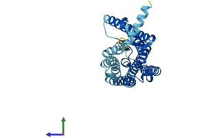 AlphaFold protein structure predicition of Human Recombinant OR5I1 Protein, UniprotID Q13606