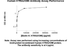 Image no. 1 for anti-HtrA Serine Peptidase 2 (HTRA2) (AA 134-458) antibody (ABIN5565372) (HTRA2 anticorps  (AA 134-458))