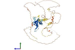 AlphaFold protein structure predicition of Mouse Recombinant Foxd3 Protein, UniprotID Q61060