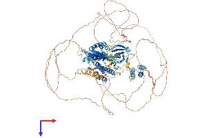 AlphaFold protein structure predicition of Mouse Recombinant Rps6kc1 Protein, UniprotID Q8BLK9